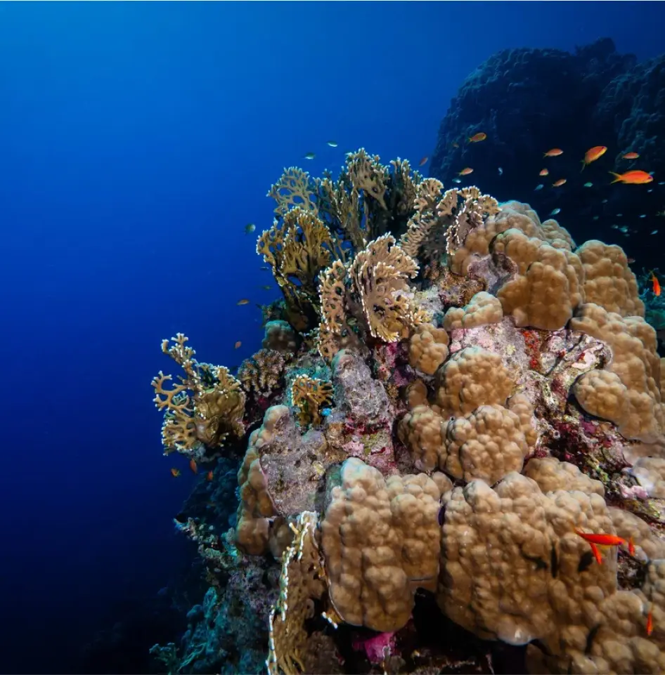 Hurghada's Very Best