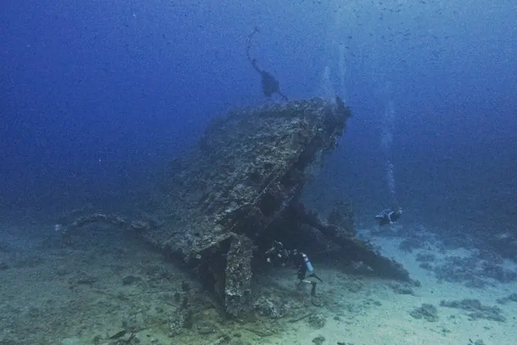 Wreck Diver