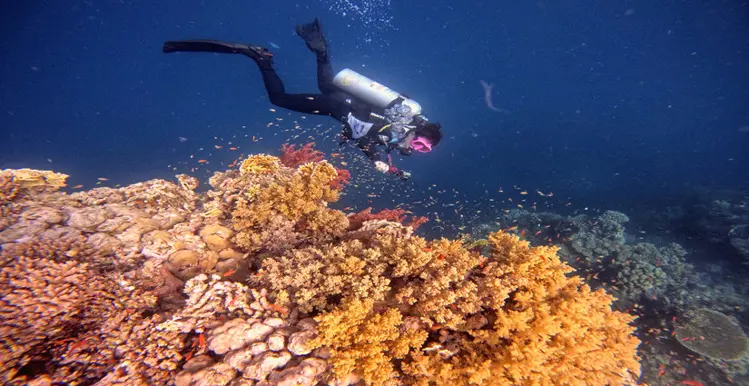 Advanced Open Water Diver