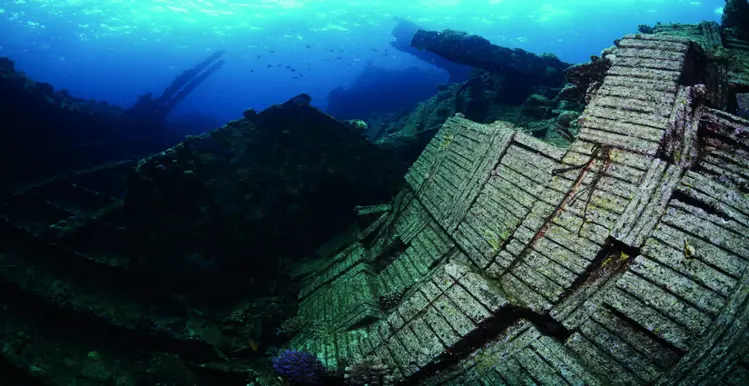 Wreck Diver