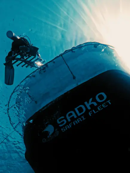 Open Water Diver