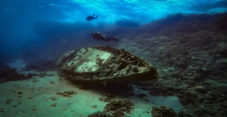 Wreck Diver