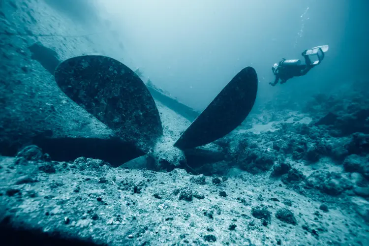 Wreck Diver
