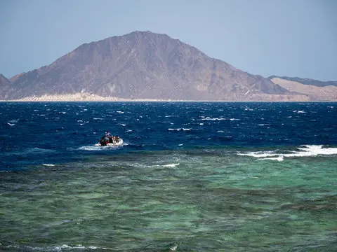 Exciting Special diving trips with Sadko Safari Fleet!